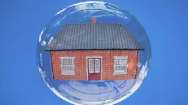 Economic Bubbles